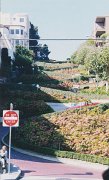 031-Lombard Street from the bottom